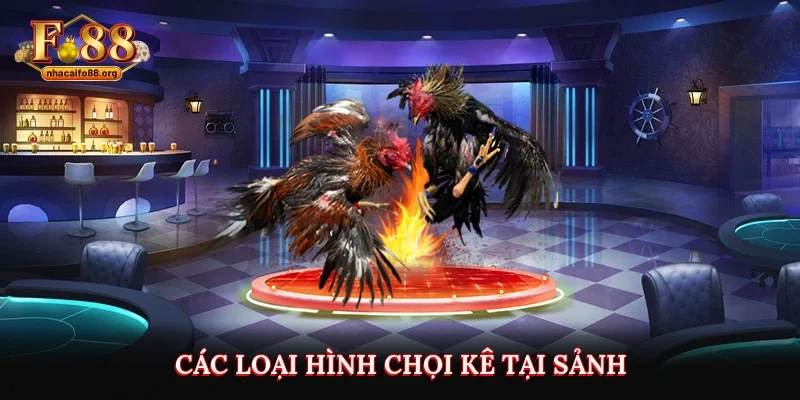 Các loại hình chọi kê tại sảnh