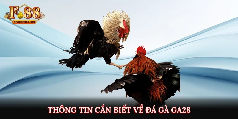 Thông tin cần biết về đá gà ga28